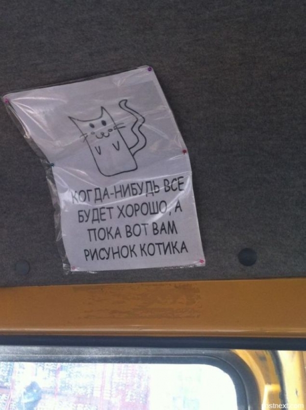 Опубликованное фото