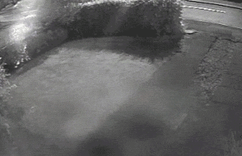 Опубликованное фото