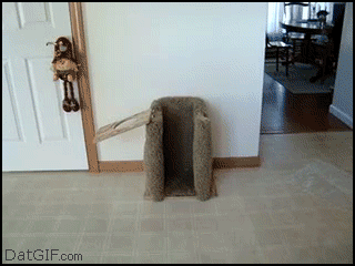 20130620124324_htv.gif
